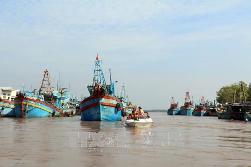 Bến Tre cho công nhân, cán bộ, nhân viên nghỉ làm để tránh bão số 16